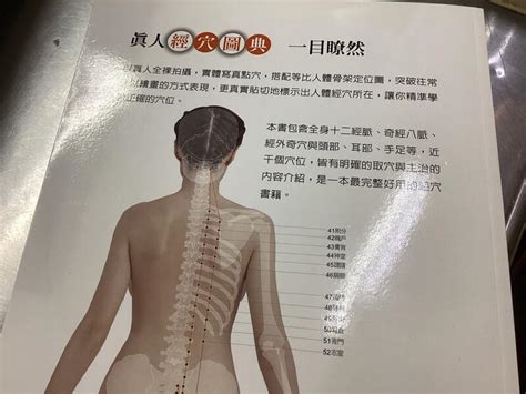 人體寫真經穴辭典